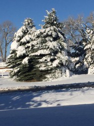 8892a59a-5d42-4e2b-934e-e2dfd999a1a5