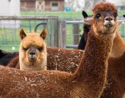 dafe3579-f35e-4b0f-9649-57104ce69869